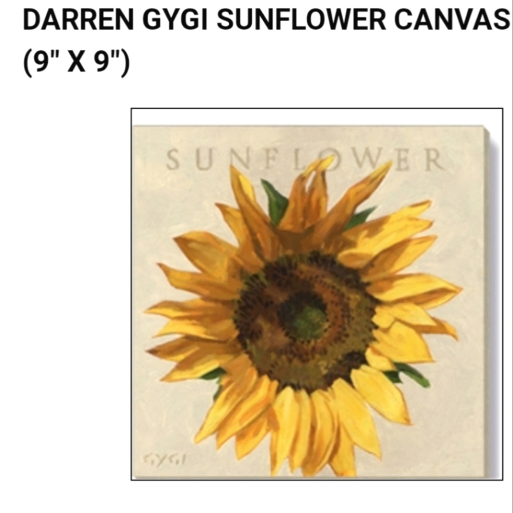 Darren Gygi Home Collection